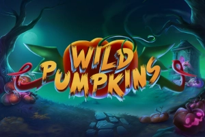 24597 wild pumpkins
